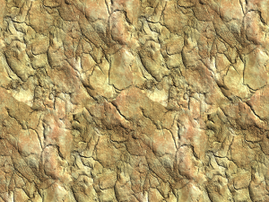 bark texture CG Textures
