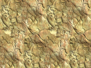 樹皮の質感 CG テクスチャ