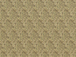 bark texture CG 纹理
