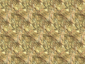 bark texture CG 纹理