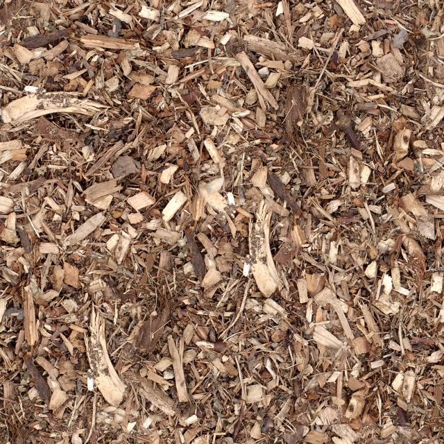 wood texture CG Textures .c4d .max .obj .3ds .fbx .stl .blend 