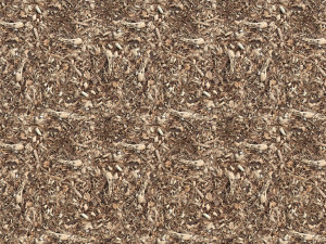 wood texture CG Textures