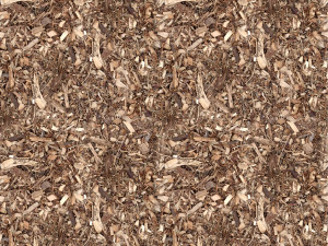 wood texture CG Textures