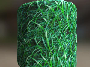 grass texture CG Textures