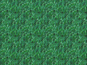 grass texture CG Texturen