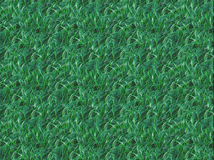 grass texture CG Textures