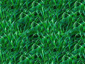 grass texture CG Texturen