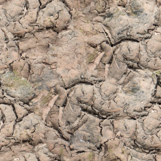 soil texture CG Textures .c4d .max .obj .3ds .fbx .stl .blend 