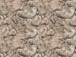 soil texture CG Textures
