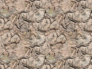 soil texture CG Textures