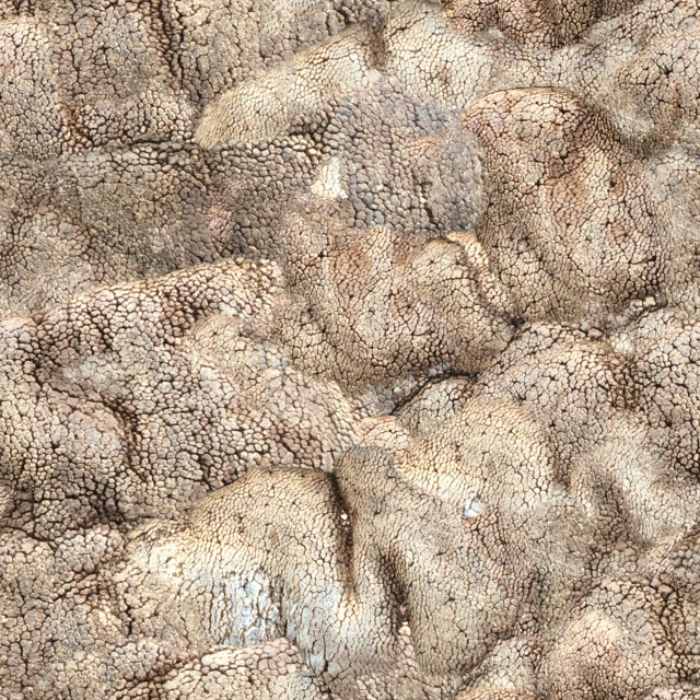 skin texture CG テクスチャ .c4d .max .obj .3ds .fbx .stl .blend 