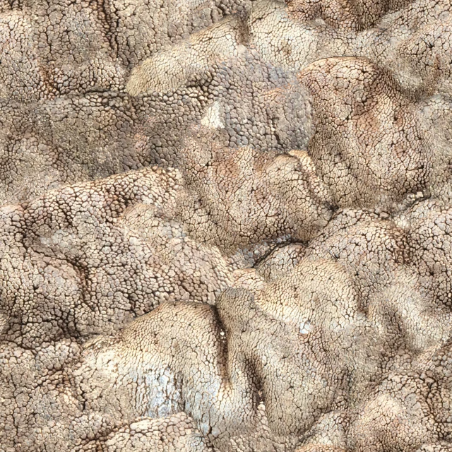 त्वचा की बनावट CG टेक्स्चर्स .c4d .max .obj .3ds .fbx .stl .blend 