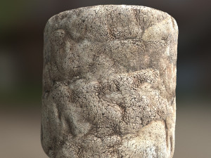 skin texture CG テクスチャ