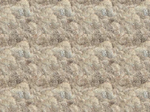 त्वचा की बनावट CG टेक्स्चर्स