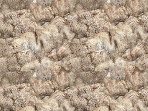 skin texture CG テクスチャ