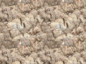 त्वचा की बनावट CG टेक्स्चर्स