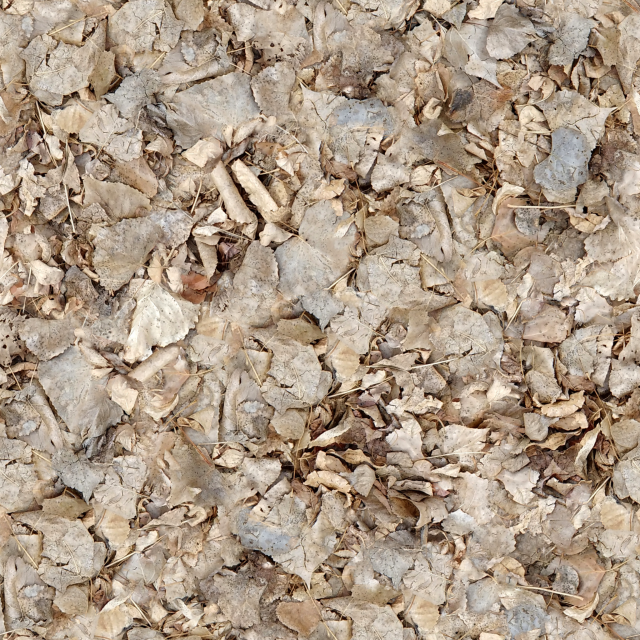 dry leaves texture CG Textures .c4d .max .obj .3ds .fbx .stl .blend 