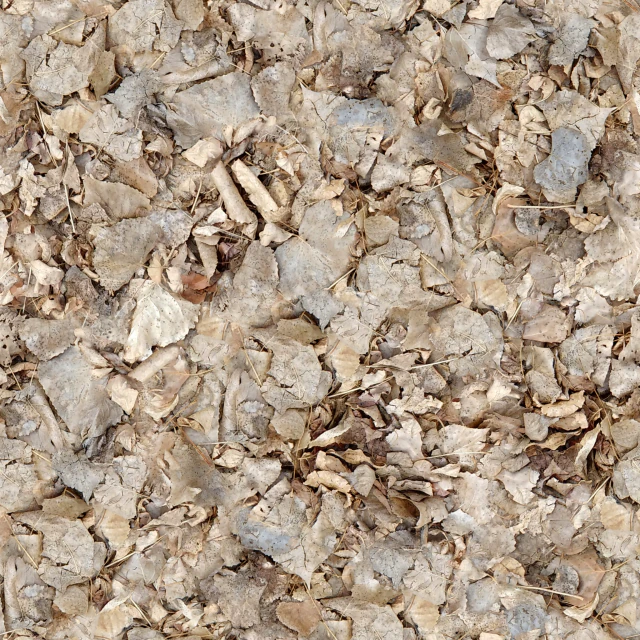 dry leaves texture CG Textures .c4d .max .obj .3ds .fbx .stl .blend 