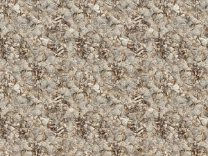 dry leaves texture CG Textures