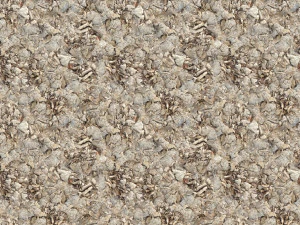 dry leaves texture CG Textures
