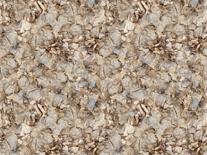 dry leaves texture CG Textures