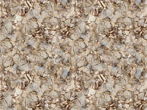 dry leaves texture CG Textures