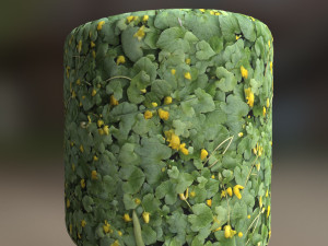flowers texture CG Текстуры