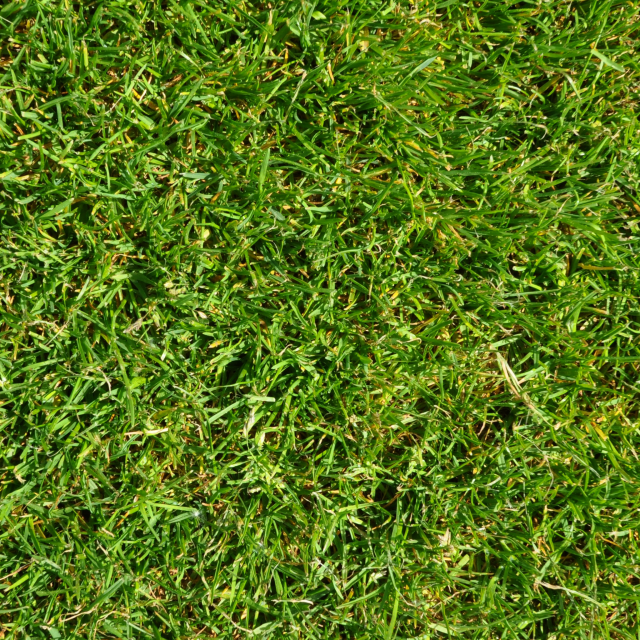 grass texture CG Tekstury .c4d .max .obj .3ds .fbx .stl .blend 