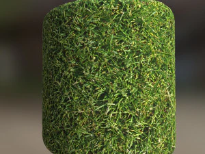 grass texture CG Textures