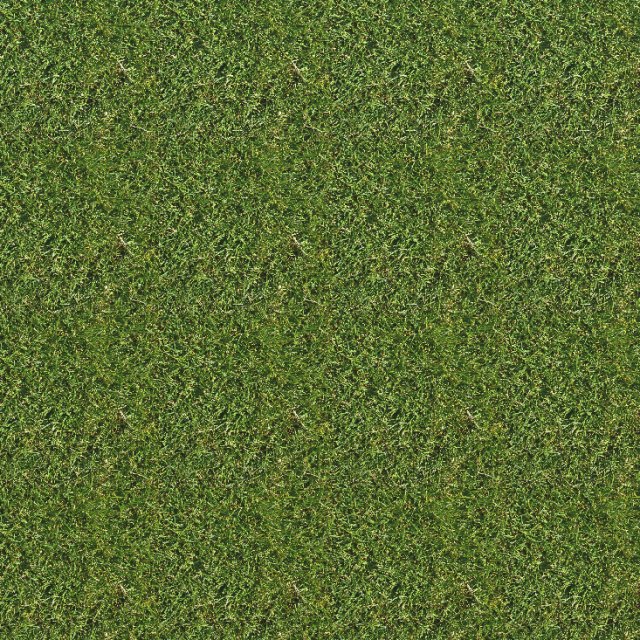 Download grass texture 3D Model