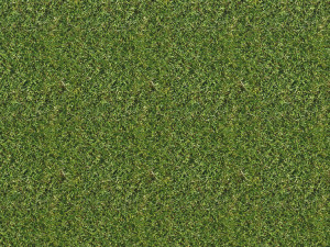 grass texture CG Tekstury