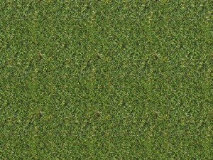 grass texture CG Textures