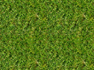 grass texture CG Tekstury