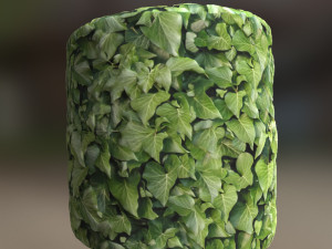 leaf texture CG Textures