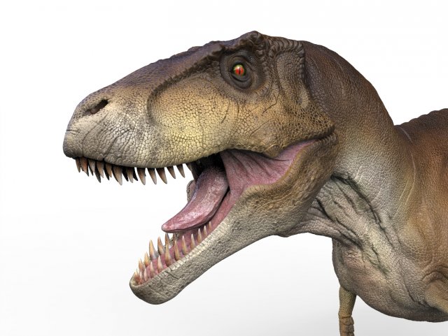 t rex ztool Model 3D .c4d .max .obj .3ds .fbx .stl .blend 
