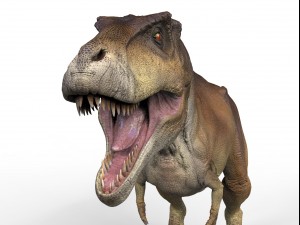 t rex ztool Model 3D