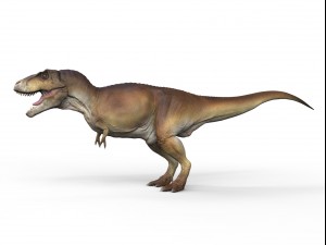 t rex ztool Model 3D