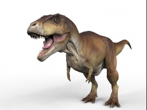 t rex ztool Model 3D