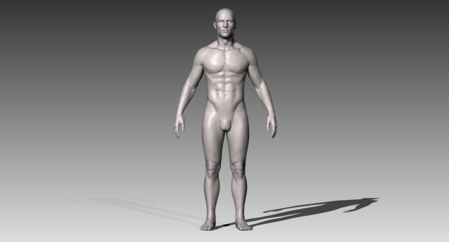realistic white male Modelo 3D .c4d .max .obj .3ds .fbx .stl .blend