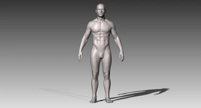 realistic white male 3D Model .c4d .max .obj .3ds .fbx .stl .blend