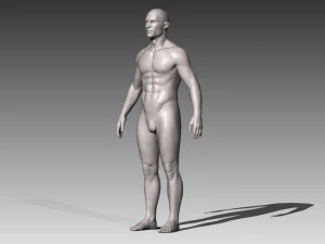 realistic white male 3D Model