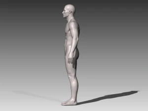 realistic white male 3D Model