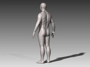 realistic white male 3D Model