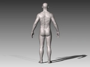 realistic white male 3D Model