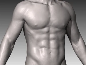 realistic white male 3D Model