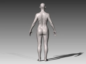 Realistic white female 3D Model