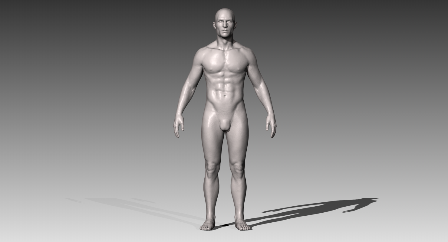Realistic White Male And Female Bundle 3d Model In Anatomy 3dexport