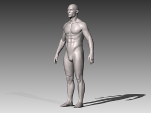 realistic white male and female bundle Modèle 3D