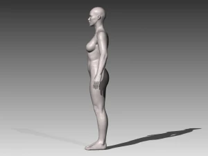 realistic white male and female bundle 3D Model
