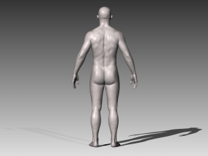 realistic white male and female bundle Modèle 3D